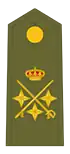 Teniente general (Ejército de Tierra (Spagna))