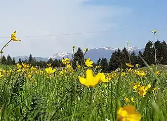 Altipiani di Arcinazzo – Veduta