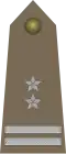 tenente colonnello (podpułkownik) Esercito polacco