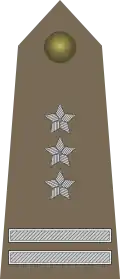 Polonia - Pułkownik