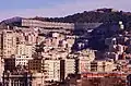 Il "Biscione"