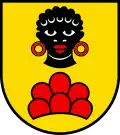 Testa di donna in maestà (Möriken-Wildegg, Svizzera)