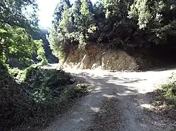 Cordeda Pazzano Contrada