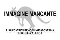 Immagine di Potorous longipes mancante