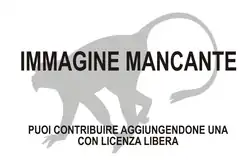 Immagine di Semnopithecus ajax mancante