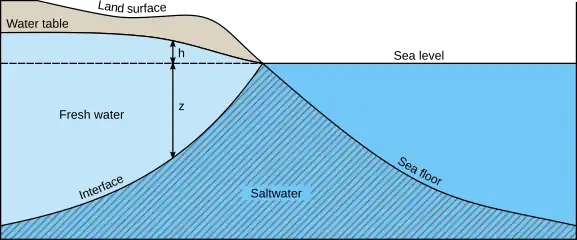 schema che illustra l'andamento di un cuneo salino nel sottosuolo. L'avanzamento del cuneo salino verso terra può essere dovuto all'eccessivo emungimento della falda acquifera, o all'intrusione di un cuneo salino superficiale entro gli alvei fluviali. Questo porta a problemi di salinizzazione delle falde acquifere.