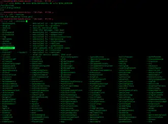 Schermata di una sessione di zsh