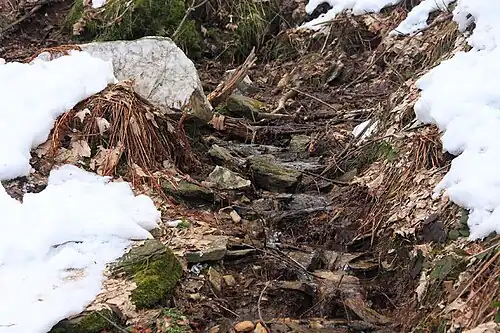 Sorgente dell'Agogna