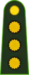 Argentina - Coronel