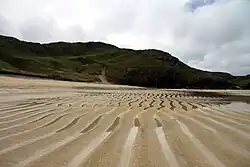 Ripple marks da onda su una spiaggia durante la bassa marea. Queste forme sono generate da correnti bidirezionali di tipo ondulatorio, che formano ondulazioni con creste simmetriche.