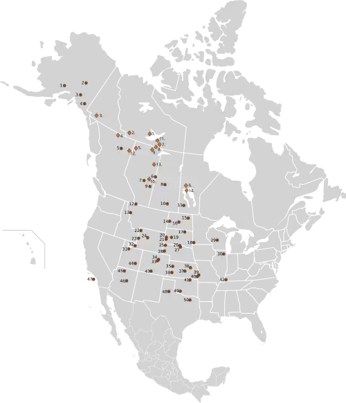 Distribuzione di branchi noti di bisonti delle pianure e di allevamenti in cattività o branchi allo stato brado di bisonti delle foreste in Nord America nel 2003. &nbsp;&nbsp;&nbsp;&nbsp;&nbsp;Bisonte delle foreste &nbsp;&nbsp;&nbsp;&nbsp;&nbsp;Bisonte delle pianure