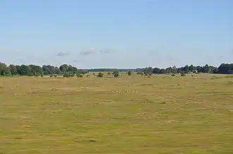 Distretto di Breckland – Veduta