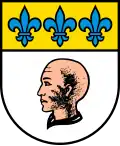 Borgnone – Stemma