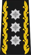Korpskommandant / Commandant de corps / Comandante di corpo (Esercito svizzero)