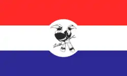 Stato Chin – Bandiera