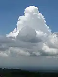Cumulus congestus