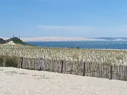 La duna di Pilat vista dalla spiaggia.