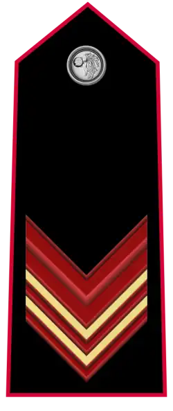 Il distintivo per spallina di appuntato scelto dell'Arma dei Carabinieri