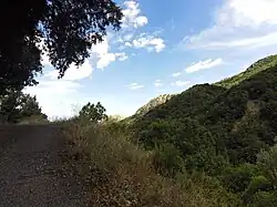 Castiglione Pazzano Contrada