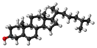 Rappresentazione tridimensionale del colesterolo