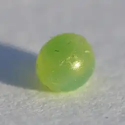 Deilephila elpenor (Sphingidae, Macroglossinae)