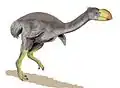 Dromornis (Anseriforme del Miocene)