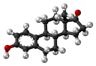 Modello ad asta e sfera di una molecola di estrone