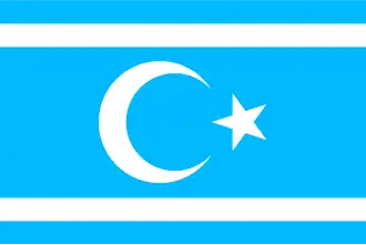 Türkmeneli – Bandiera