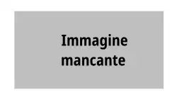 Logo RTSI dal 1993 al 1999[senza&nbsp;fonte]