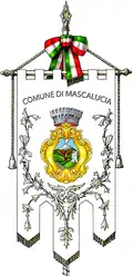 Gonfalone d'uso del Comune