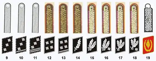 9=NSKK-Sturmführer 10=NSKK-Obersturmfüher 11=NSKK-Hauptsturmführer 12=NSKK-Staffelführer 13=NSKK-Oberstaffelfüher 14=NSKK-Standartenführer 15=NSKK-Oberführer 16=NSKK-Brigadefüher 17=NSKK-Gruppenfüher 18=NSKK-Obergruppenfüher 19=NSKK-Korpsführer.