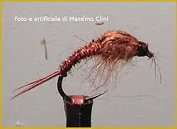 Ninfa artificiale di effimera