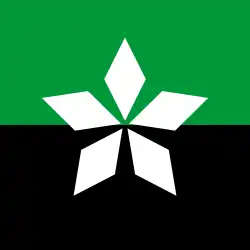 Soledar – Bandiera