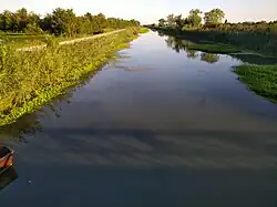 Conche, Taglio Novissimo del Brenta