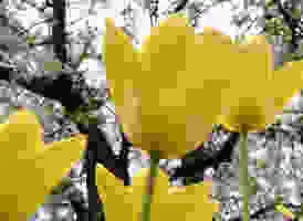 Qualità 10% – 3,2 kB