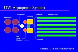 Diagramma del sistema di acquaponica commerciale dell'Università delle Isole Vergini progettato per produrre 5 tonnellate di tilapia all'anno.