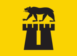 Sarpsborg – Bandiera