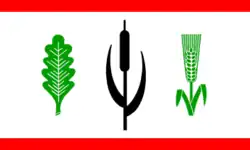 Ostrohe – Bandiera