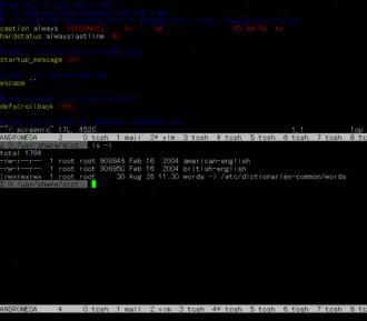GNU Screen con lo schermo diviso