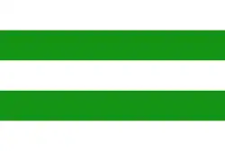 Hasselt – Bandiera