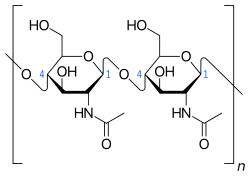 Struttura di una molecola di chitina