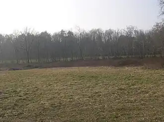 Cavaria con Premezzo – Veduta