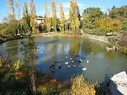 Lo stagno di Contovello - oasi naturalistica -