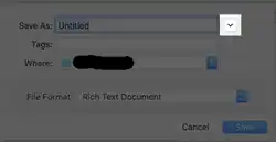 Disclosure control in una finestra macOS