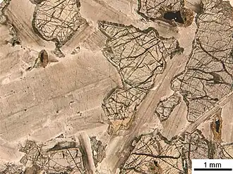 Sezione di gabbro vista a un solo polarizzatore