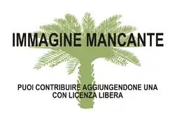 Immagine di Cycas nitida mancante