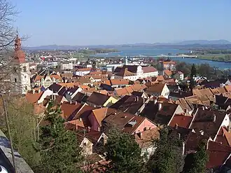 Ptuj – Veduta
