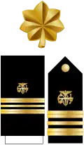 Lieutenant commander PHSCC