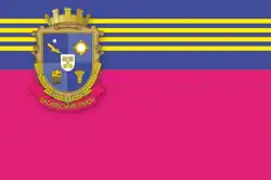 Distretto di Vasylivka – Bandiera