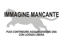 Immagine di Parailurus mancante